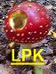 LPK Logo.jpg