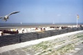 Cuxhaven-Doese-Beach.JLt.jpg