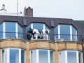Kuh auf Balkon.jpg