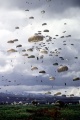 Fallschirmspringen.jpg