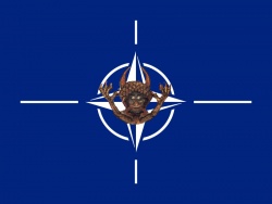 Flag of NATO.jpg