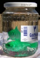 Goldfische grün.jpg