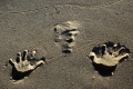 Spur im Sand.jpg