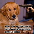 Erschiessungskommando Hund Spam.jpg
