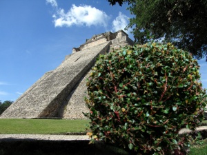 Mayapyramide hinter busch.jpg
