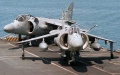 2 Harrier bei der Paarung.jpg