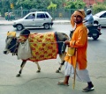 Inder mit Kuh.jpg