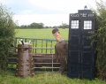 Tardis Doctor Who.jpg