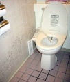 Zurueckpinkelnde Toilette.jpg