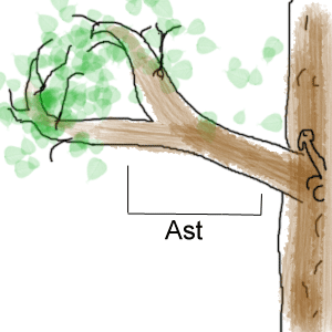 Ast.png