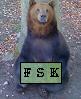 FSK Logo.jpg