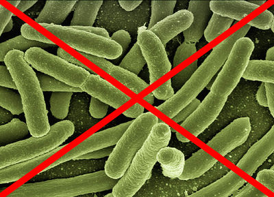Bakterie-NEIN.jpg