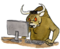 Stier2.PNG