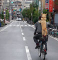 Hund faehrt Fahrrad.jpg