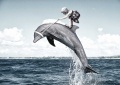 Delfine reiten.jpg