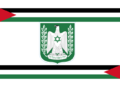 Flagge von Palaestina.svg