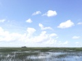 Everglades Florida.jpg