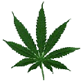 Feuille de Cannabis.GIF