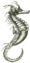 Schwarz-weißes Seepferdchen 2.svg