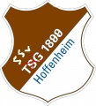 Hoffenheimlogo.JPG