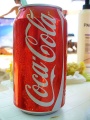 450px-Lata Coca Cola.JPG