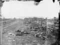 Bodies on the battlefield at antietam.jpg