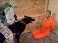 Abu Ghraib Potenz.jpg