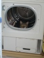 450px-Cat washing mashing.jpg