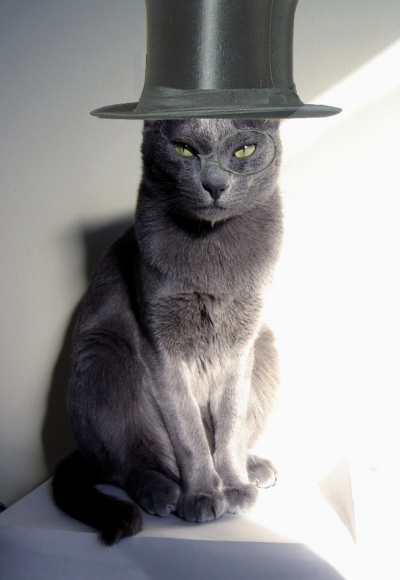 Katze mit Hut und Monokel.jpg