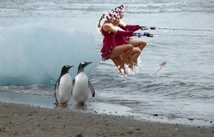 Pinguine-Wasserski.jpg