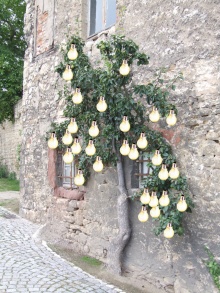 Glühbirnbaum.jpg