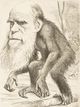 Darwin.jpg