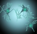 Neuronen schwurbel.jpg