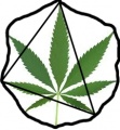 Pyromid cannabis.jpg